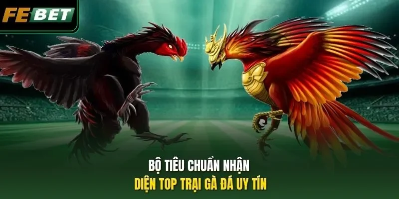Top Trại Gà Đá - Nơi Hội Tụ Của Những Chiến Kê Triệu Đô Bộ tiêu chuẩn nhận diện top trại gà đá uy tín