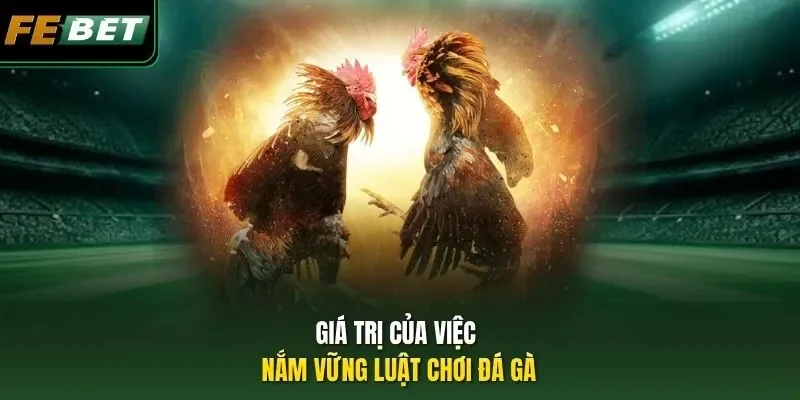 Luật Chơi Đá Gà - Tổng Hợp Quy Định Quan Trọng Cần Biết Giá trị của việc nắm vững luật chơi đá gà