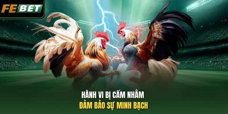 Luật Chơi Đá Gà - Tổng Hợp Quy Định Quan Trọng Cần Biết Hành vi bị cấm nhằm đảm bảo sự minh bạch