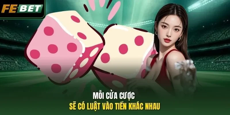Luật Tài Xỉu - Febet Hướng Dẫn Newbie Cách Chơi Hay Nhất Mỗi cửa cược sẽ có luật vào tiền khác nhau