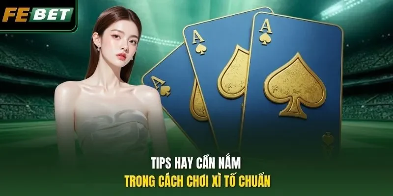 Tips hay cần nắm trong cách chơi Xì Tố chuẩn